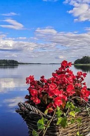Фотографии Дома для отпуска Holiday Home Piharanta г. Сийлинъярви (Финляндия) №5 Фото Дома для отпуска Holiday Home Piharanta г. Сийлинъярви 5